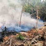 quemas forestales