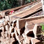 tablares de madera