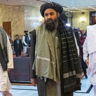 Talibanes