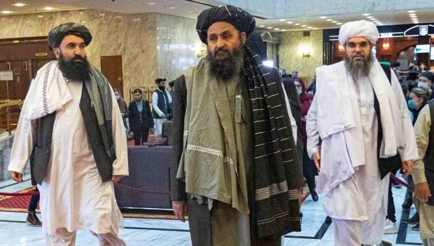 Talibanes