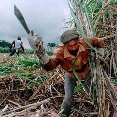 zafra de caña de azúcar