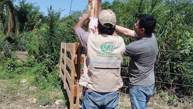 funcionarios de la ABT colocan una notificación
