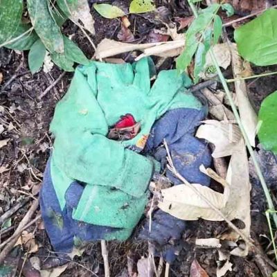 la prenda de una de las víctimas