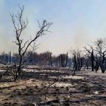incendios en Bolivia consumen más de 83 mil hectáreas