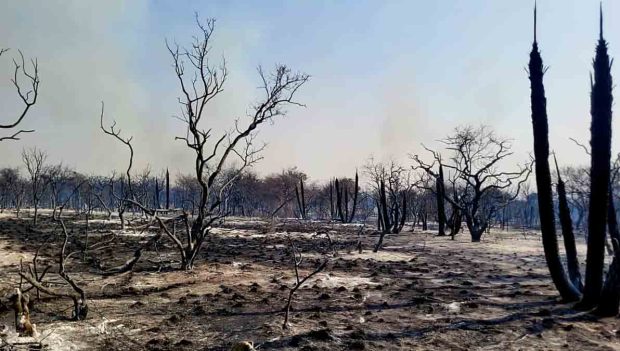 incendios en Bolivia consumen más de 83 mil hectáreas