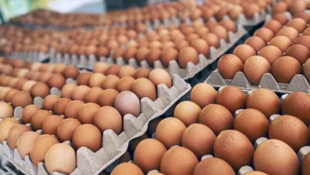 huevos