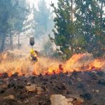 incendio forestal