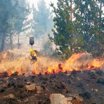incendio forestal