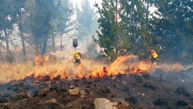 incendio forestal