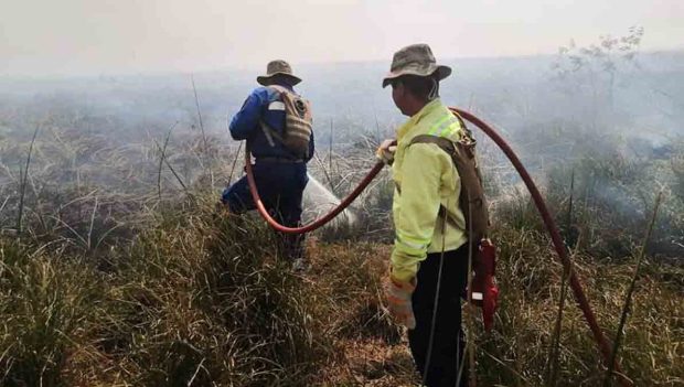 soldados sofocan un incendio forestal