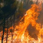 incendio forestal en Francia