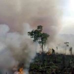 incendio parque Noel Kempff