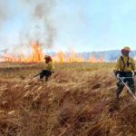 incendio forestal Parque Noel Kempff