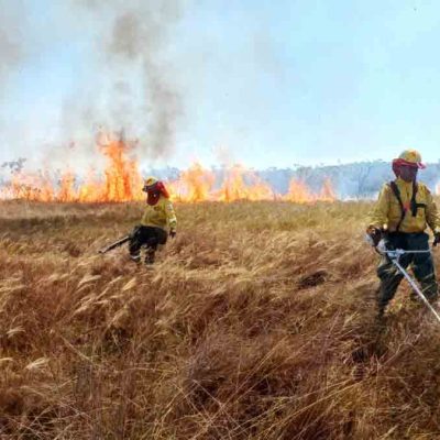 incendio forestal Parque Noel Kempff