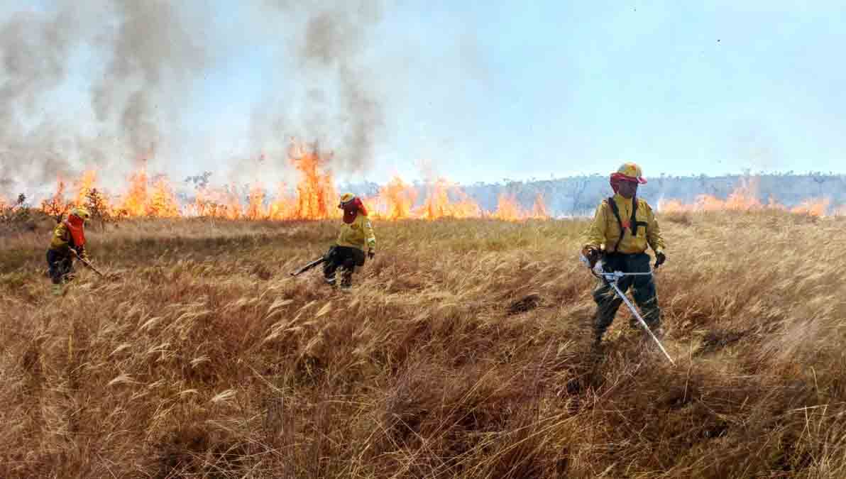 incendio forestal Parque Noel Kempff