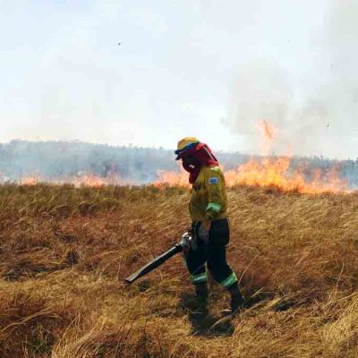 incendio Parque Noel Kempff Mercado