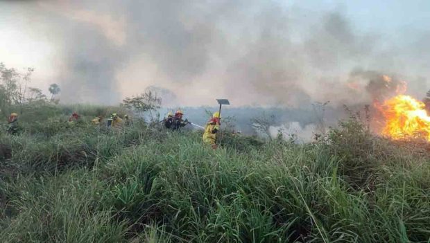 incendio forestal