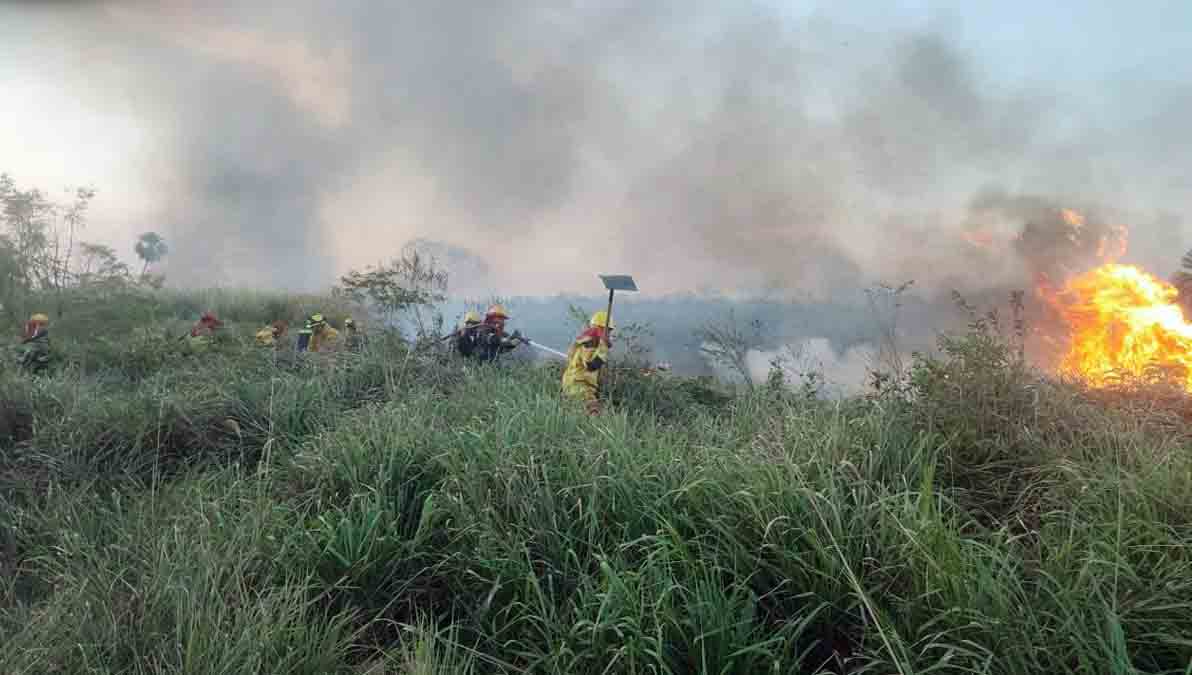 incendio forestal