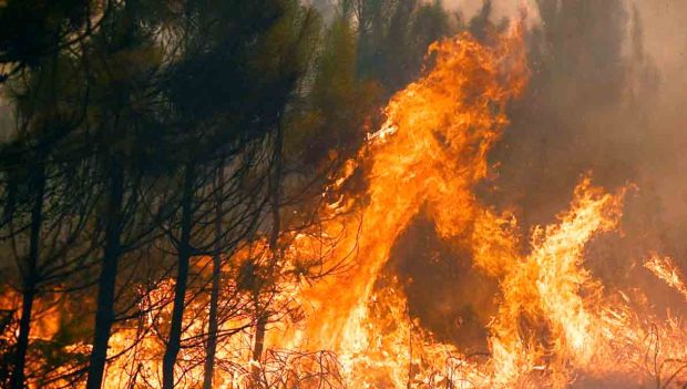 incendio forestal en Francia