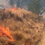 incendio Parque Tunari