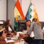 Sesión litio diputados Bolivia