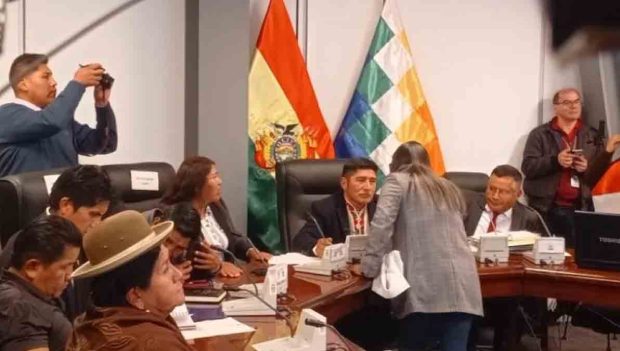 Sesión litio diputados Bolivia