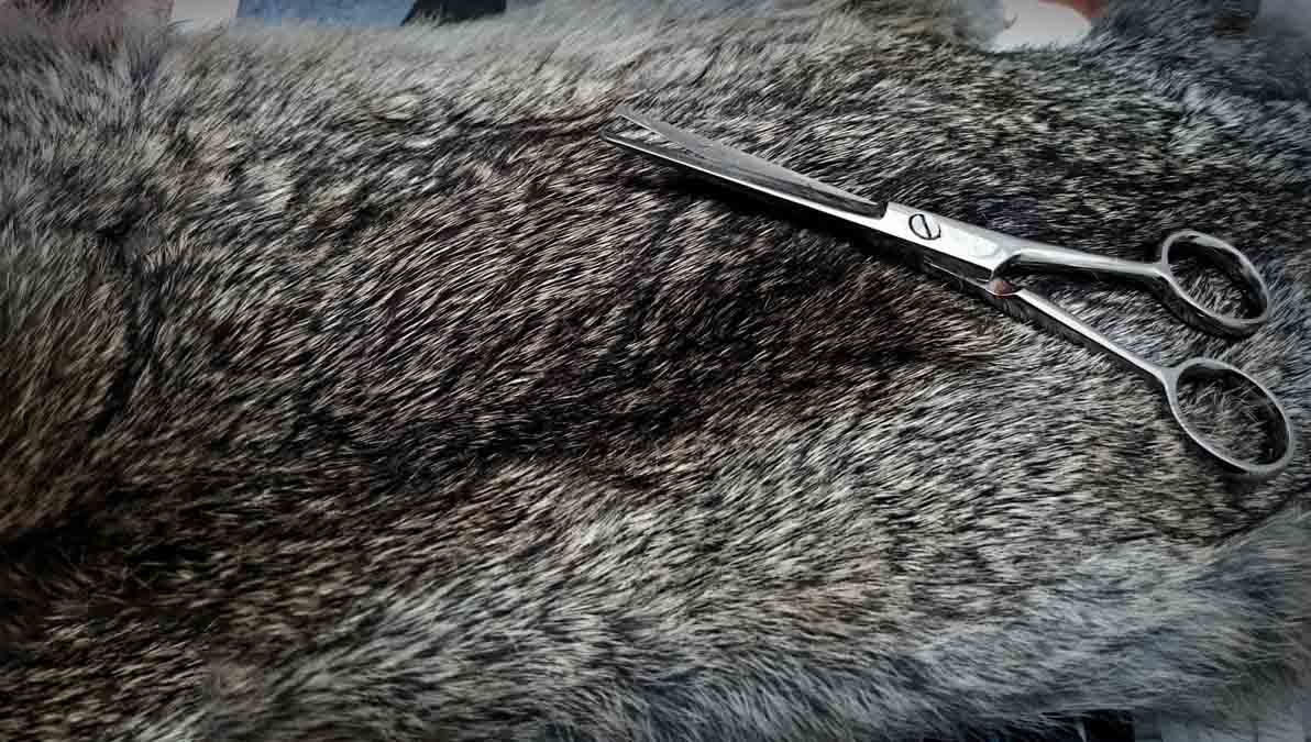 pelo de conejo