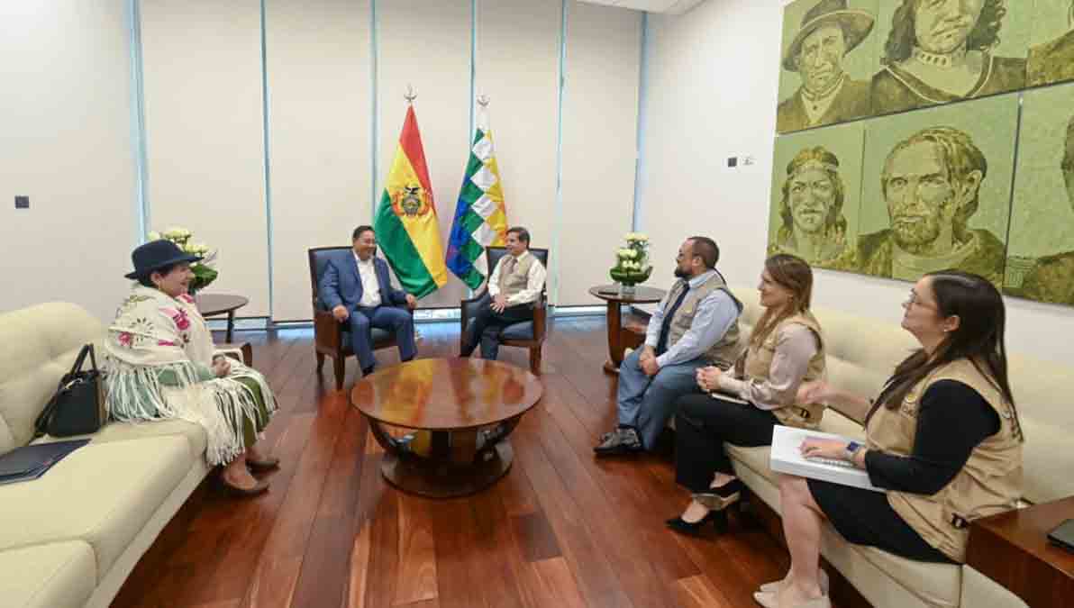 el presidente Luis Arce con observadores de la OEA