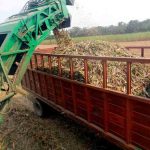 Zafra en Bolivia en riesgo por falta de diésel