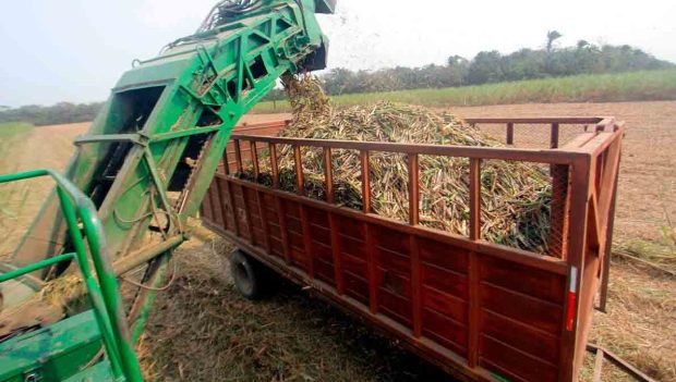 Zafra en Bolivia en riesgo por falta de diésel