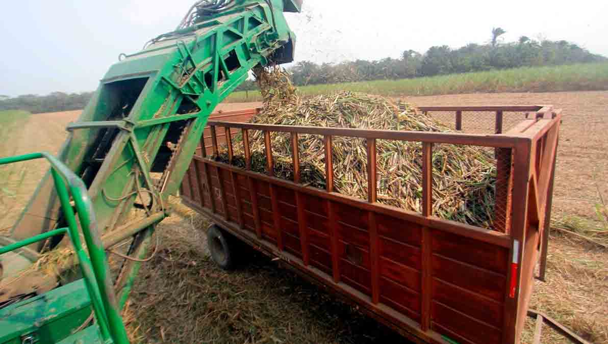 Zafra en Bolivia en riesgo por falta de diésel