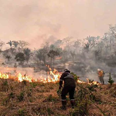 ABT procesa por incendios forestales