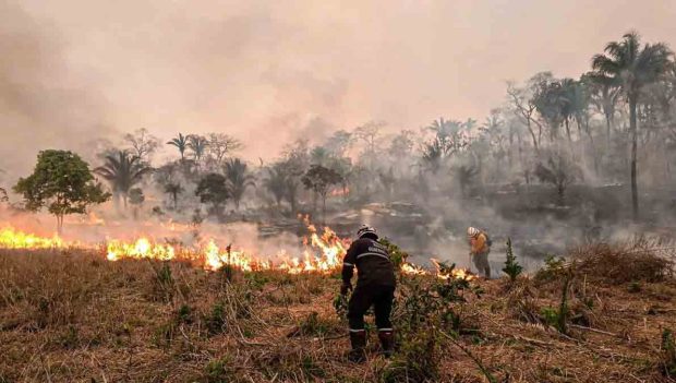 ABT procesa por incendios forestales