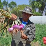 Agro en Bolivia crece 21%