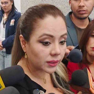 viceministra Gabriela Alcón