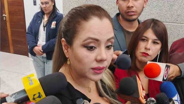 viceministra Gabriela Alcón