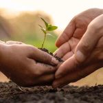 BDP destina recursos a Ecofuturo