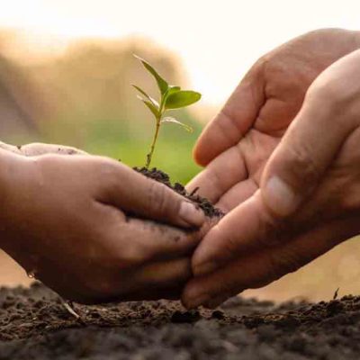 BDP destina recursos a Ecofuturo