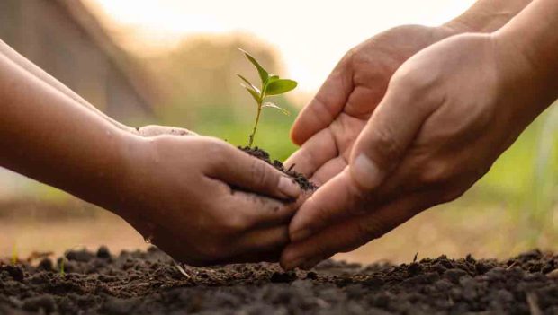 BDP destina recursos a Ecofuturo