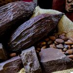 crece exportación de cacao boliviano