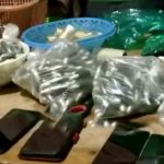 cápsulas de droga en el Trópico