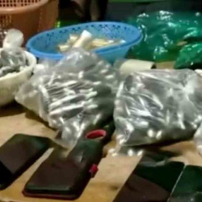 cápsulas de droga en el Trópico