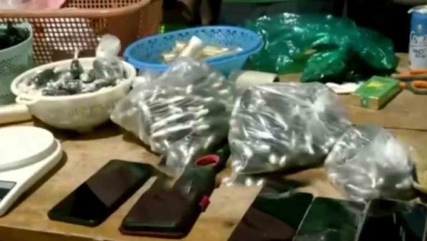 cápsulas de droga en el Trópico