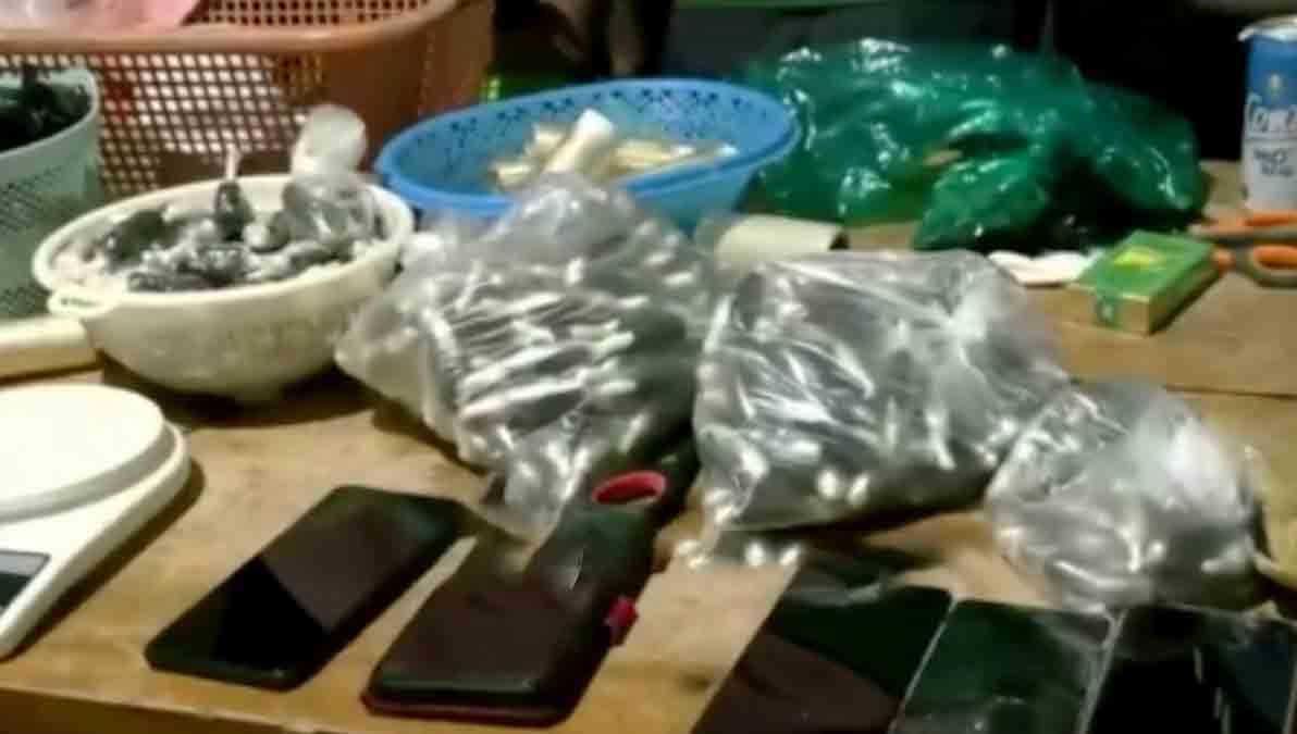 cápsulas de droga en el Trópico