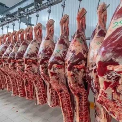 Argentina suspende impuestos a exportaciones de carne