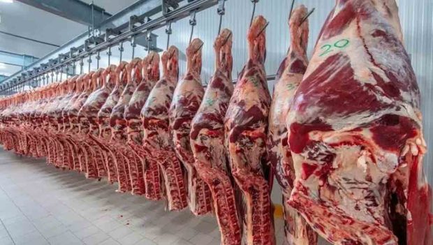 Argentina suspende impuestos a exportaciones de carne