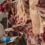 exportación de carne Bolivia
