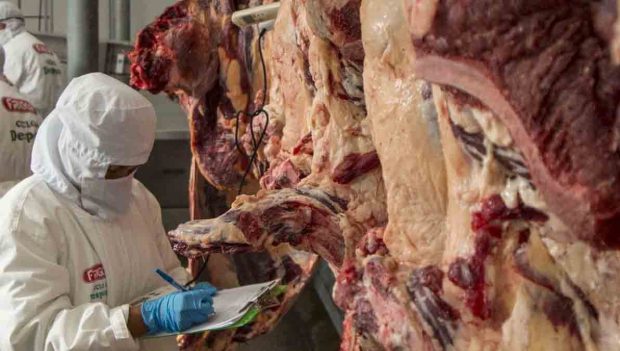 exportación de carne Bolivia