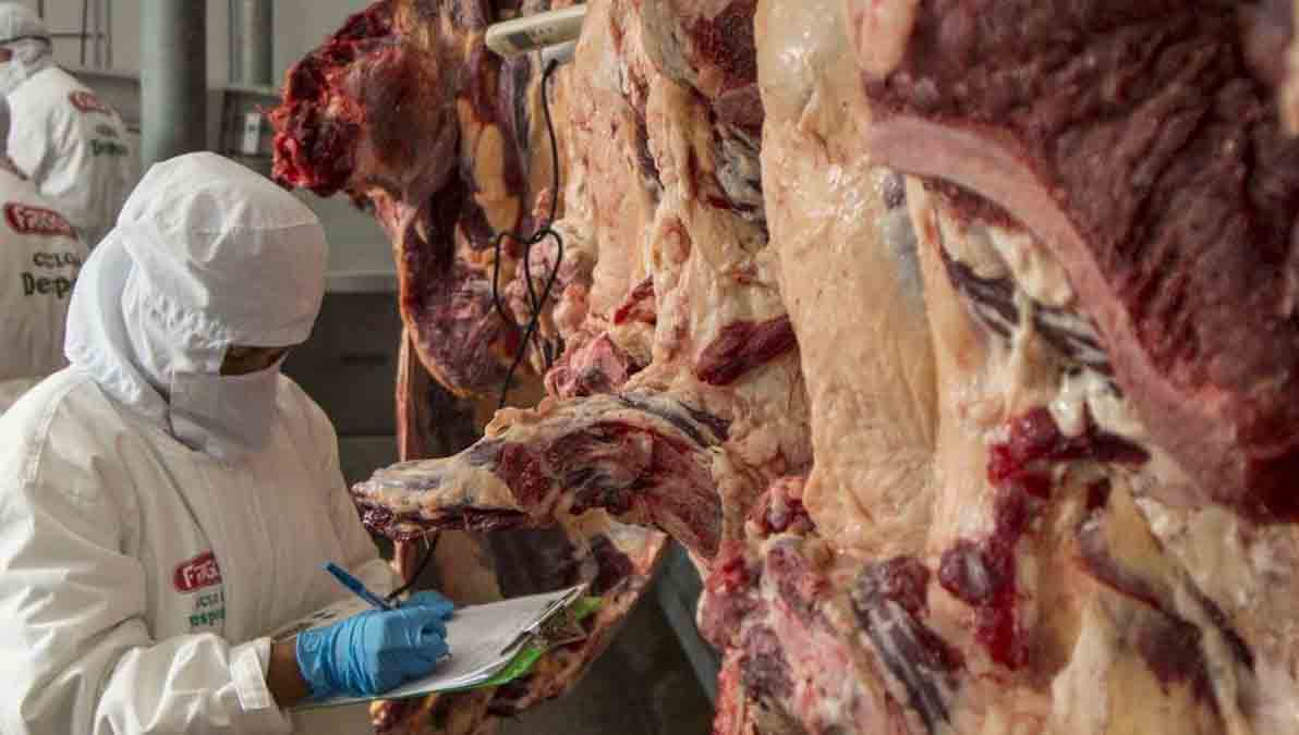 exportación de carne Bolivia