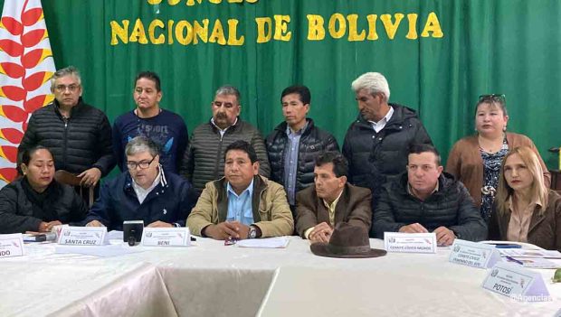 Cívicos de Bolivia plantean eliminar feriado del 22 de enero